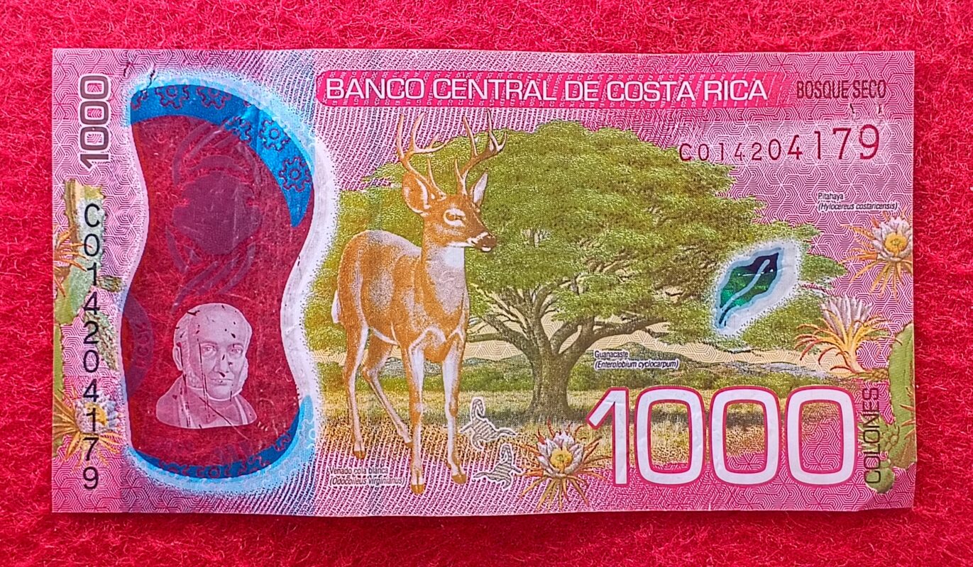 Costa Rica Colones Polymer Banknote Sns Coins