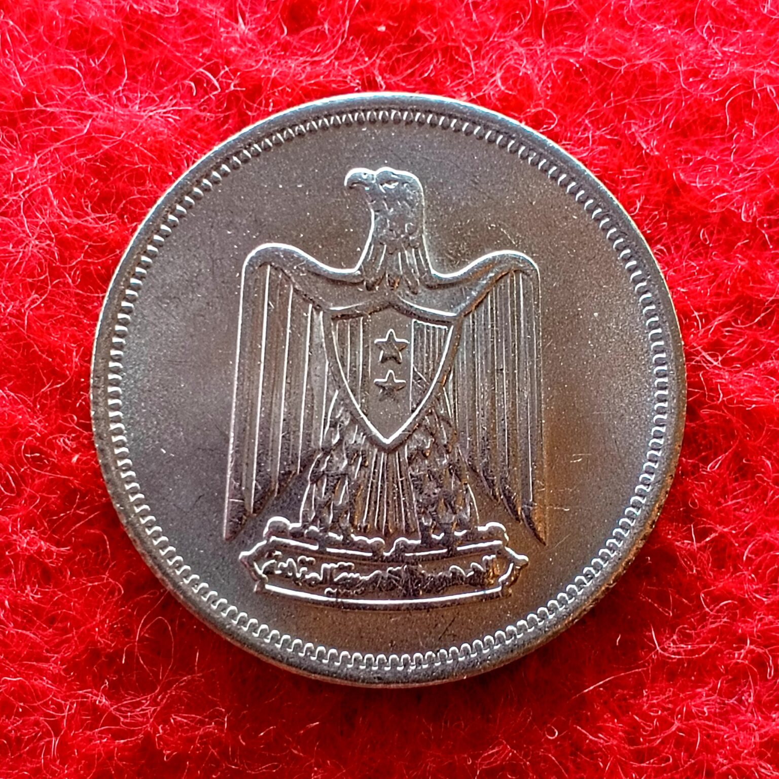 Egypt 5 Qirsh Coin – SNS Coins