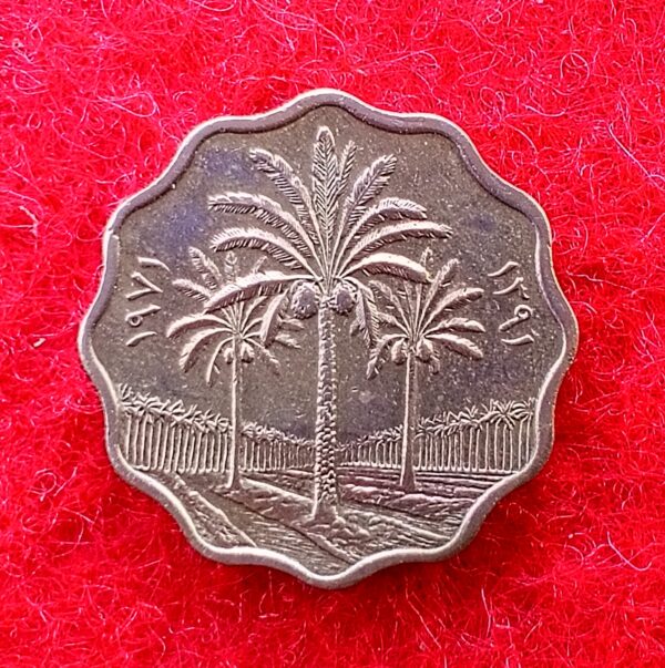 Iraq 5 Fils Coin - Image 2