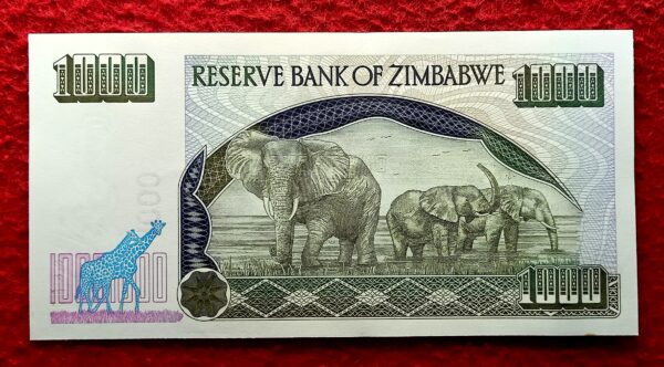 Zimbabwe 1000 Dollars Chiremba Rocks 2003 Banknote - Image 2