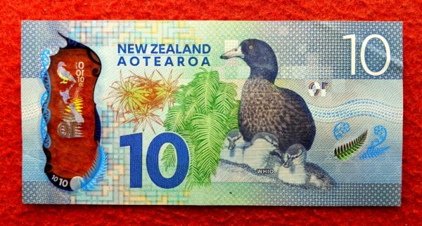 New Zealand 10 Dollars Whio (Blue Ducks) 2015 Polymer Banknote