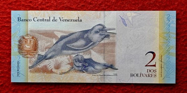 Venezuela 2 Bolivares Orinoco River Dolphins 2012 Banknote