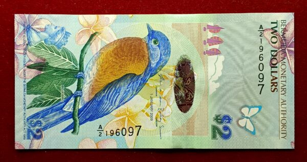 Bermuda 2 Dollars - Elizabeth II Bluebird 2009 Hybrid Substrate Banknote