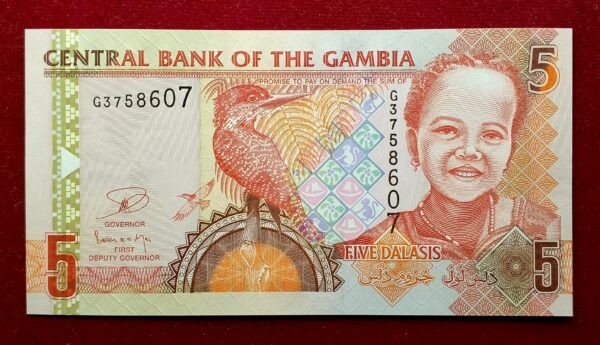 The Gambia 5 Dalasis Giant kingfisher Banknote