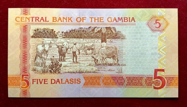 The Gambia 5 Dalasis Giant kingfisher Banknote - Image 2