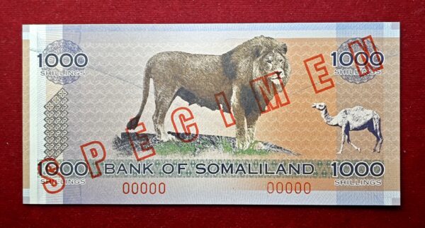 Somaliland 1000 Shillings Reclining Lion 2006 "Specimen" Banknote