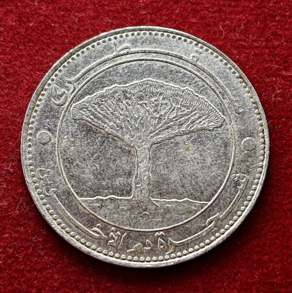 Yemen 20 Rials Socotra Dragon Tree 1427 (2006) Coin  - Image 2